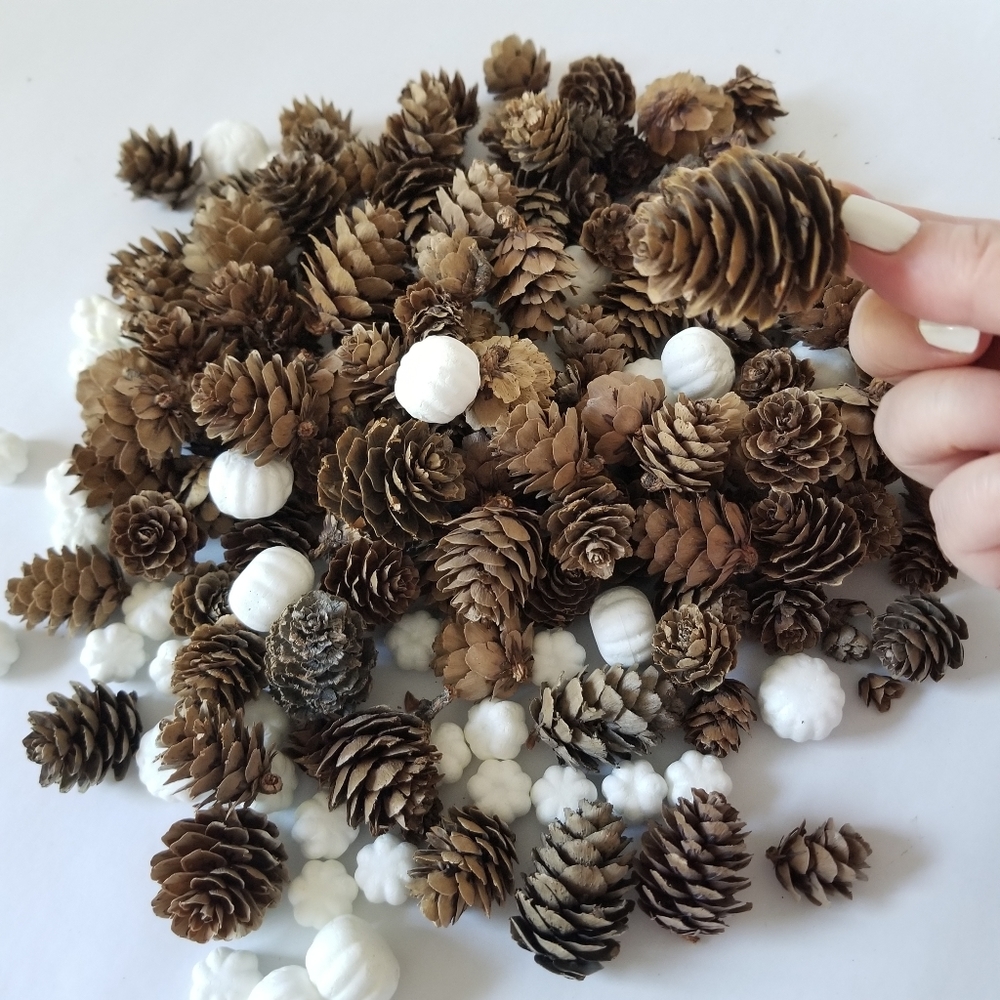 Mini Pinecones & Mini Pumpkins - Picture 4 of 5